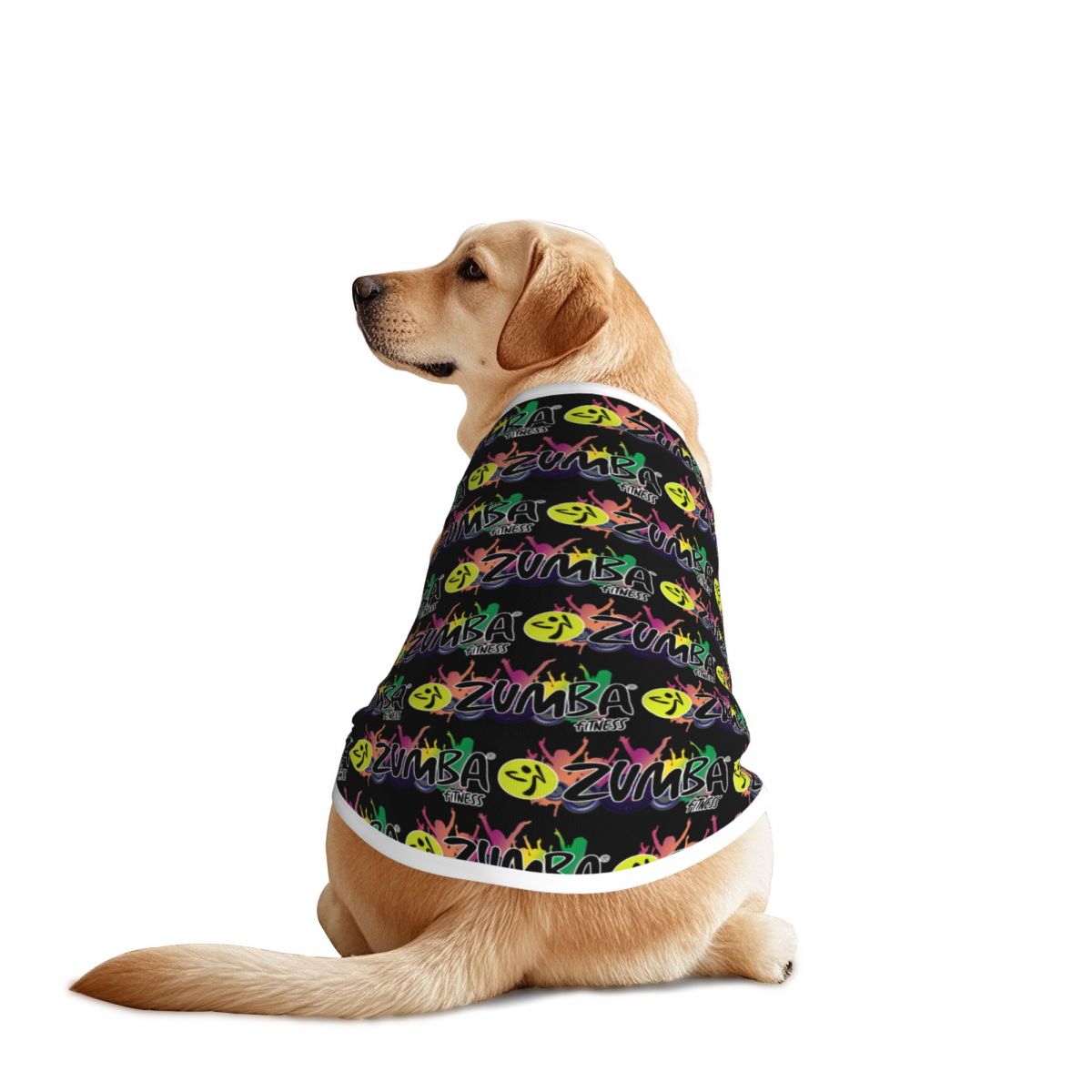 Zumba & Yoga Fitness By Anushree Pune Reviews - Fitness Zumba Haustier Weste Tanz Hund